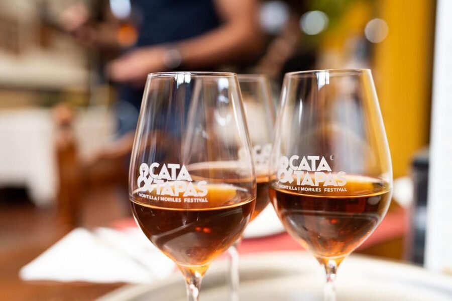 Cordoba: Tapas Bars Tour With Local Guide - The tapas-and-wine format: what’s included and what it means