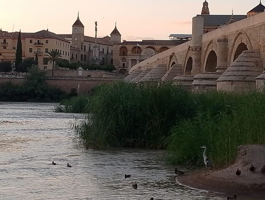 Córdoba: Tour of the three cultures to see the city in a day - Key things to love about Córdoba of the Three Cultures