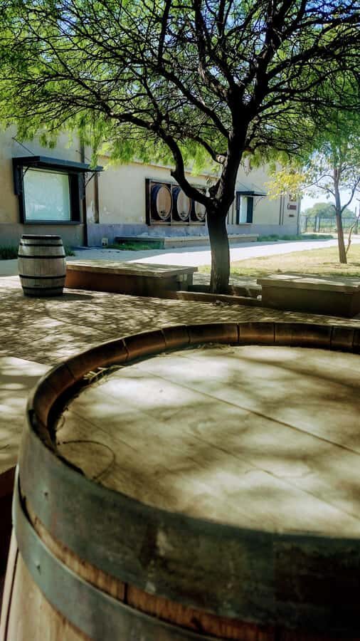 Córdoba: Wine Tour Privado a Colonia Caroya - Día completo - Getting to Colonia Caroya: pickup, timing, and why the northbound drive helps