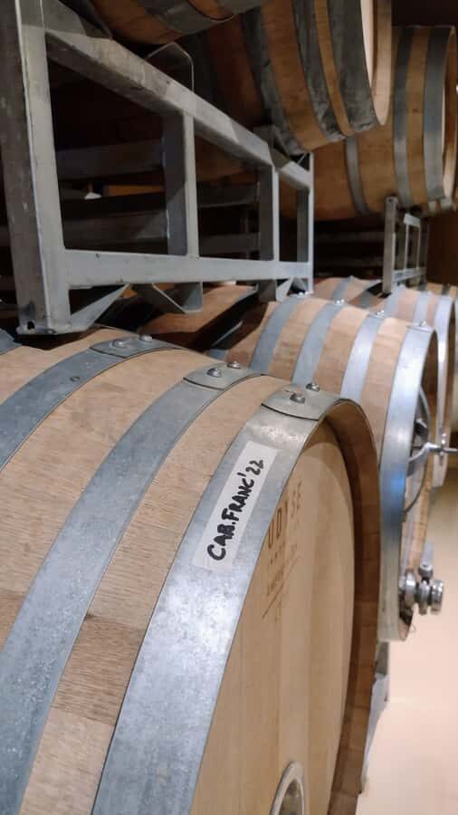 Córdoba: Wine Tour Privado a Colonia Caroya - Día completo - Cellar time and the oak barrel reality check