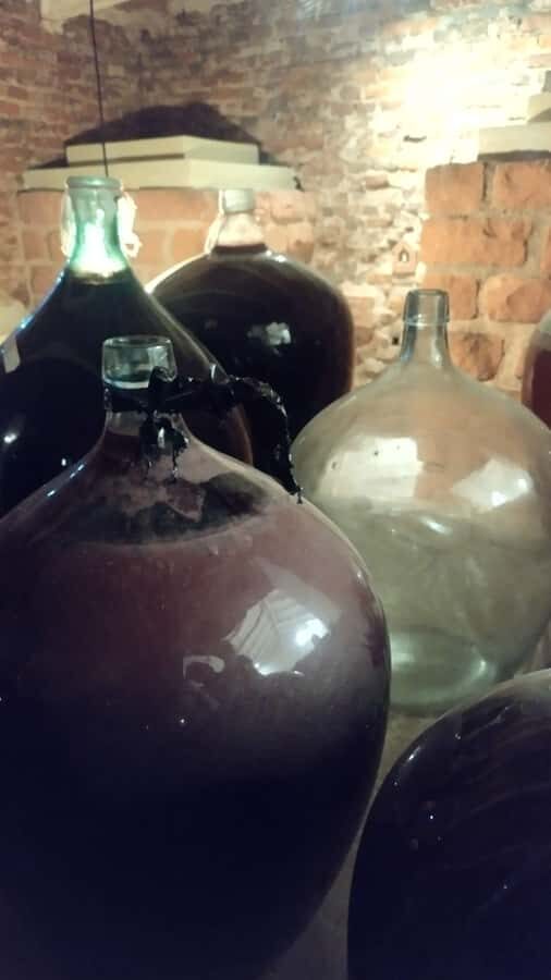 Córdoba: Wine Tour Privado a Colonia Caroya - Día completo - Who should book this wine tour in Colonia Caroya?