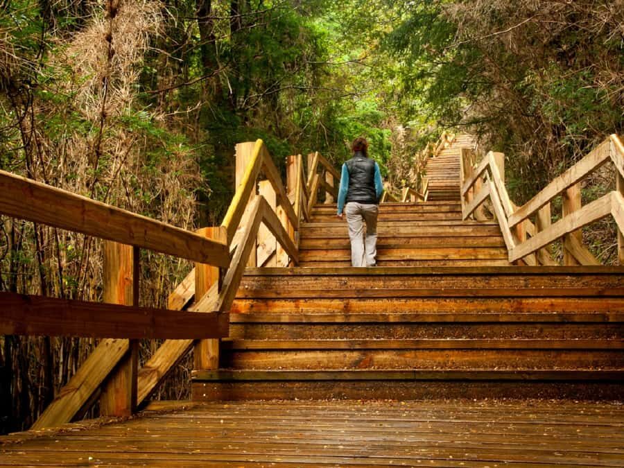 Crossing to Puerto Blest and Cascada de los Cántaros - Key highlights worth your attention