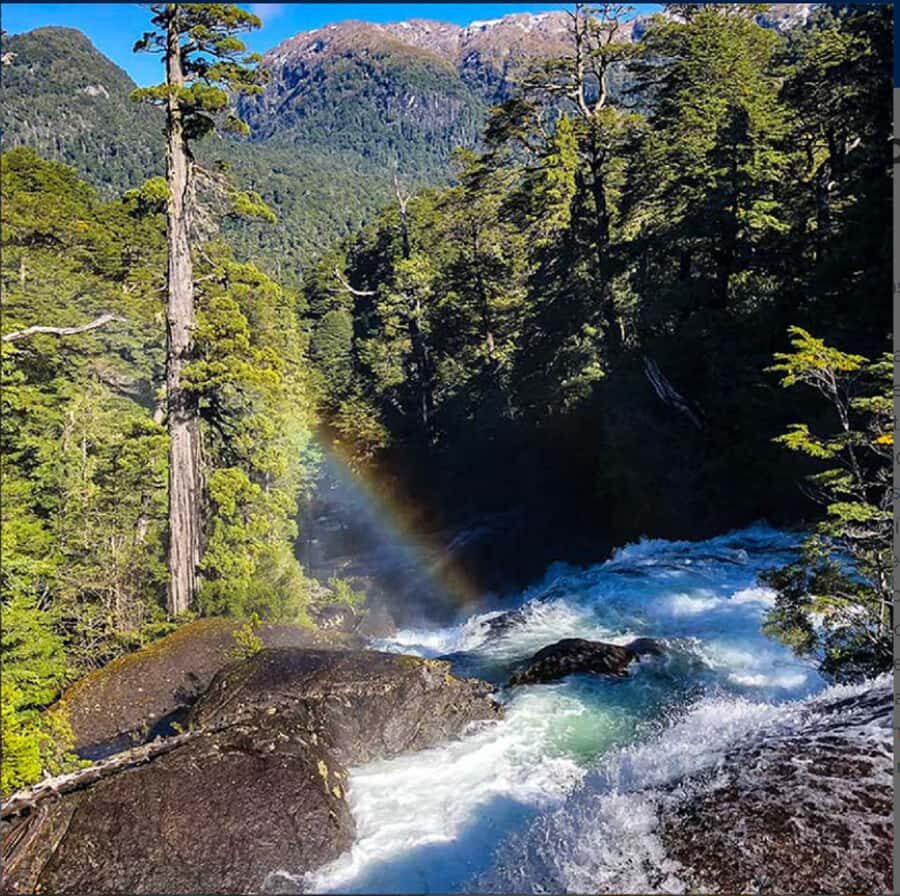 Crossing to Puerto Blest and Cascada de los Cántaros - Why Puerto Blest and Cascada de los Cántaros feel a world away