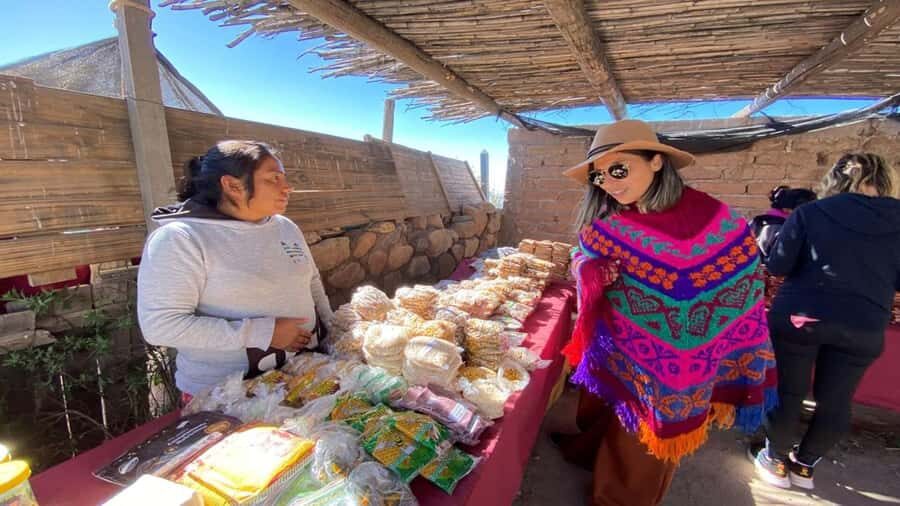 Day Trip to Cachi from Salta - Recta de Tin-Tin and Los Cardones National Park: cacti, straight roads, and old routes