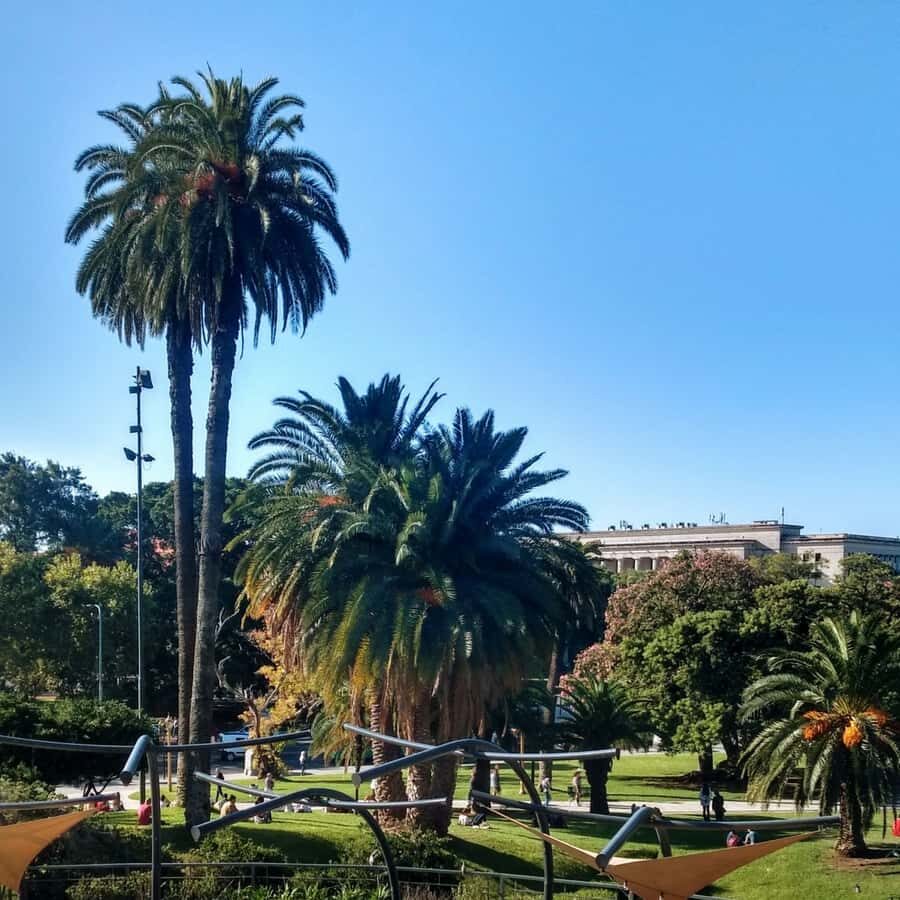 Discover Recoleta, Buenos Aires' Little Paris - Recoleta Cemetery: Eva Perón, Five Thousand Graves, and Stories You Can’t Unsee