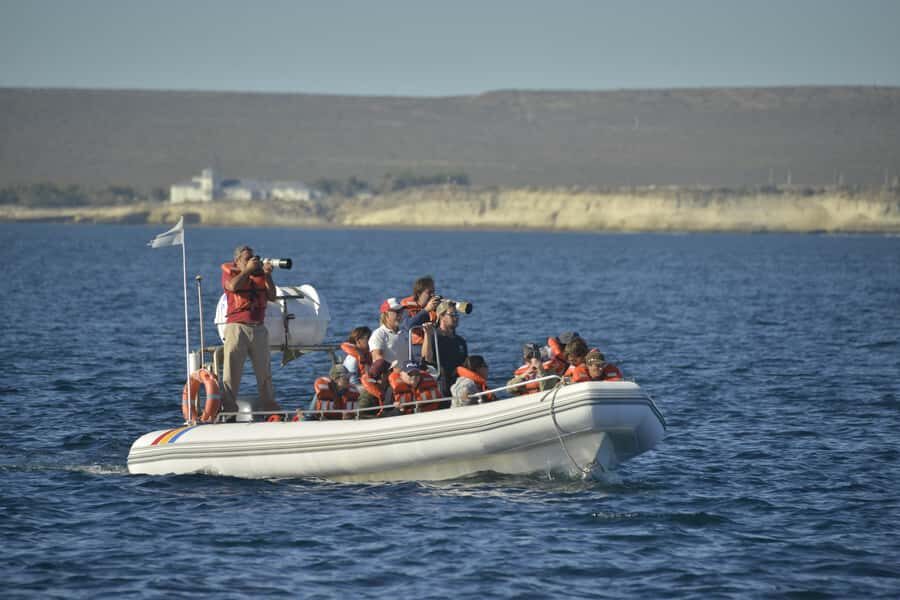 Dolphin Watching Adventure - Should You Book This Dolphin Tour?