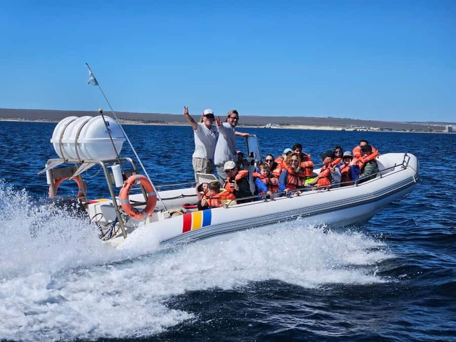 Dolphin Watching Adventure - The Punta Loma Stop: Sea Lions and Seabirds Close to the Action