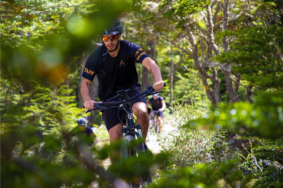 E-BIKE Beagle Viewpoint - Key highlights to care about
