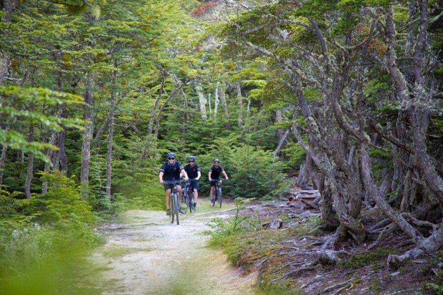 E-BIKE Beagle Viewpoint - Price and value: is $135 a good deal for 4 hours?