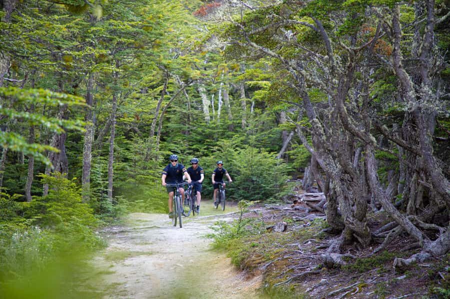 E-BIKE Beagle Viewpoint - Who should book, and who should skip this ride