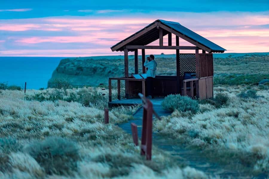 El Calafate: Monte León 4x4 Wolves and Penguins Excursion - Key moments that make this tour worth your time