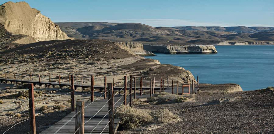 El Calafate: Monte León 4x4 Wolves and Penguins Excursion - El Calafate to Monte León National Park: the 4x4 day you’ll actually remember