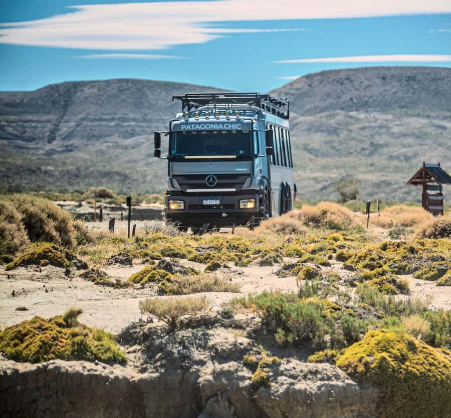 El Calafate: Monte León 4x4 Wolves and Penguins Excursion - Who this tour suits best (and who should skip it)