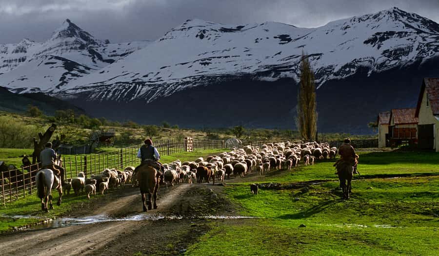 El Calafate: Nibepo Aike Ranch with Horseback Riding - Shearing shed and historical museum: gaucho life through work