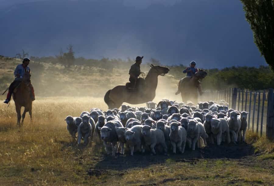 El Calafate: Nibepo Aike Ranch with Horseback Riding - Time on the road, what to pack, and comfort tips