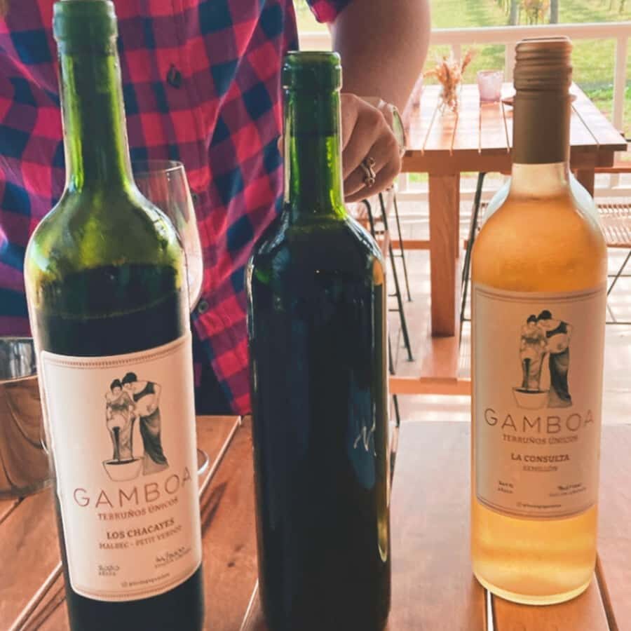 Enjoy a Rural Experience in a Vineyard near Buenos Aires - The pick-up plan and why private transport helps