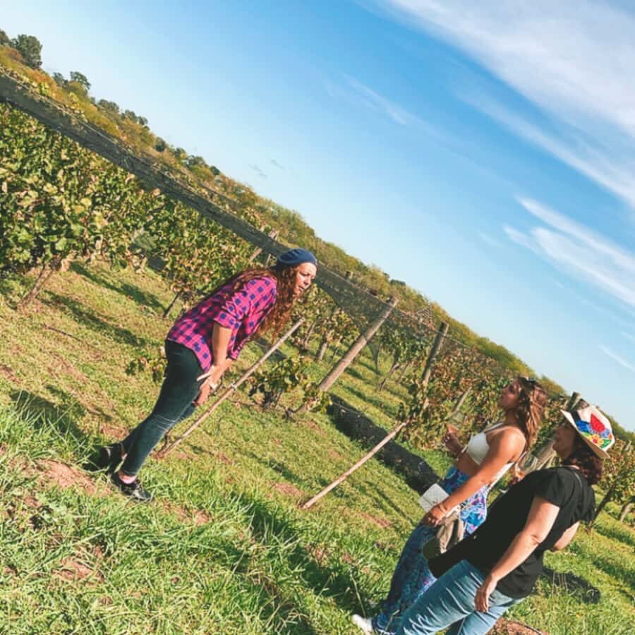 Enjoy a Rural Experience in a Vineyard near Buenos Aires - Wine tasting and food pairings: how Malbec, Pinot, and Cabernet show up