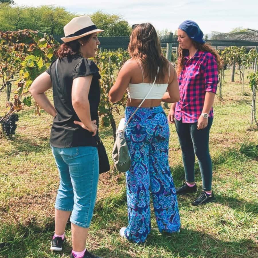 Enjoy a Rural Experience in a Vineyard near Buenos Aires - Price and value: what $264 per person really buys