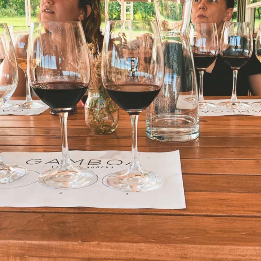 Enjoy a Rural Experience in a Vineyard near Buenos Aires - Accessibility and who this trip fits best