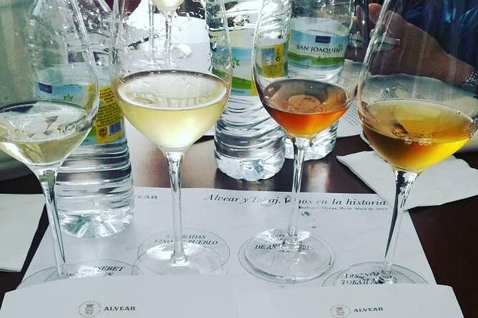 Evening Wine Tasting Córdoba - Time Plan and How to Fit It Into Your Córdoba Day