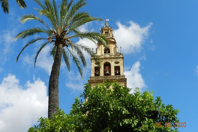 Exclusive visit to the Mosque with official guide. Small groups - Patio de los Naranjos: Where You Start and Get Oriented
