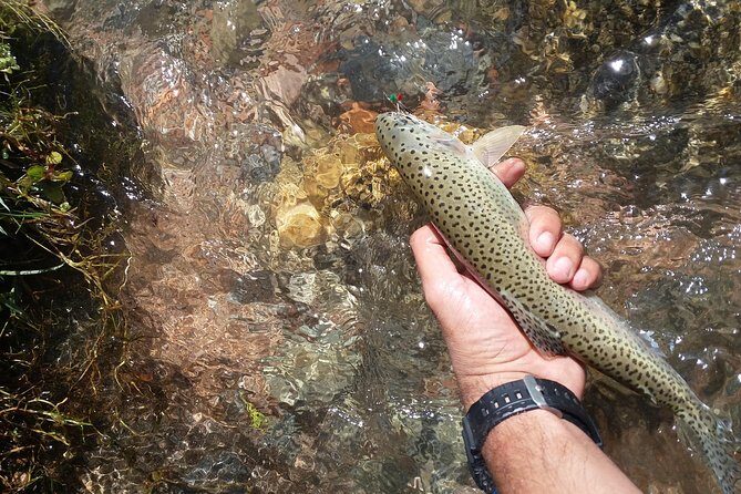 Fly Fishing on Private Andean River Including Barbecue Lunch - The Drive to La Carrera: Mountains First, City Second