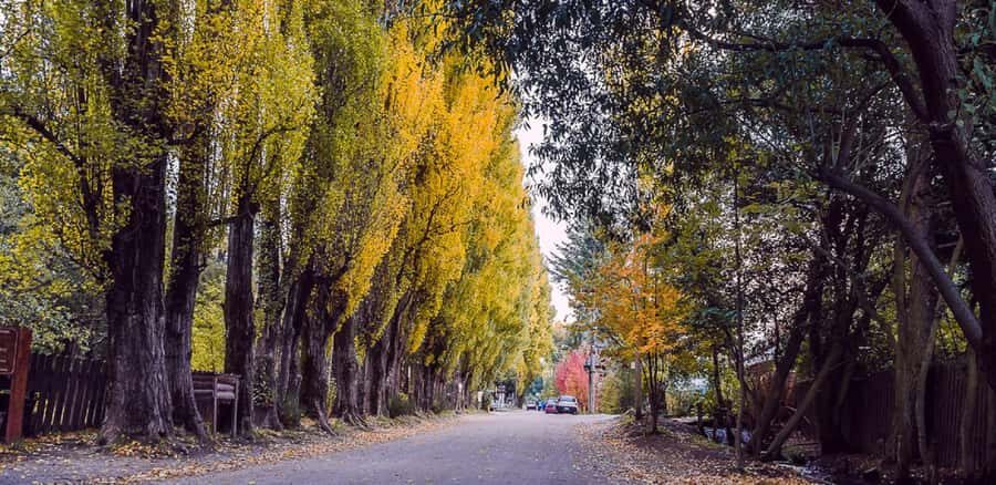 From Bariloche: Chico Circuit & Colonia Suiza Tour - Price and Value: Why $66 Can Make Sense Here