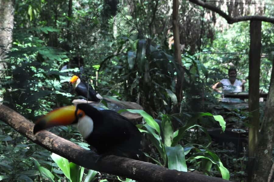 From Buenos Aires: 3-Day Iguazu Falls Tour with Airfare - Iguazu’s two-park magic: seeing the Falls the right way