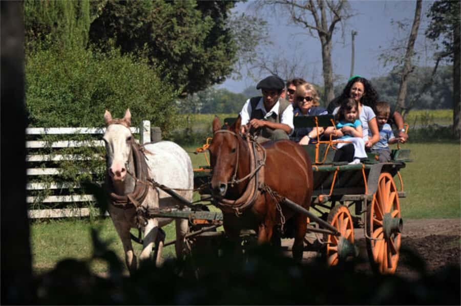 From Buenos Aires: Estancia Don Silvano Tour with Lunch. - Key Things That Make Estancia Don Silvano Memorable