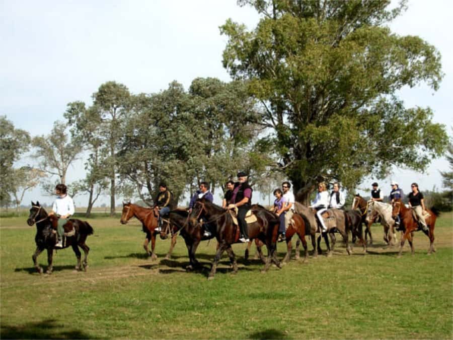 From Buenos Aires: Estancia Don Silvano Tour with Lunch. - Pampas Culture Without the Big Travel Headache