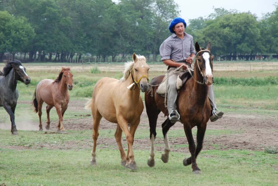 From Buenos Aires: Estancia Don Silvano Tour with Lunch. - Empanadas at Arrival: The Welcome That Sets the Tone