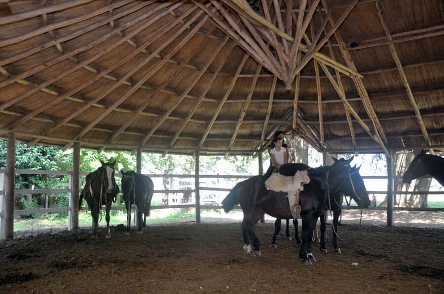 From Buenos Aires: Estancia Don Silvano Tour with Lunch. - Guided Visit to the Estancia Facilities: What You’ll See and Why It Matters