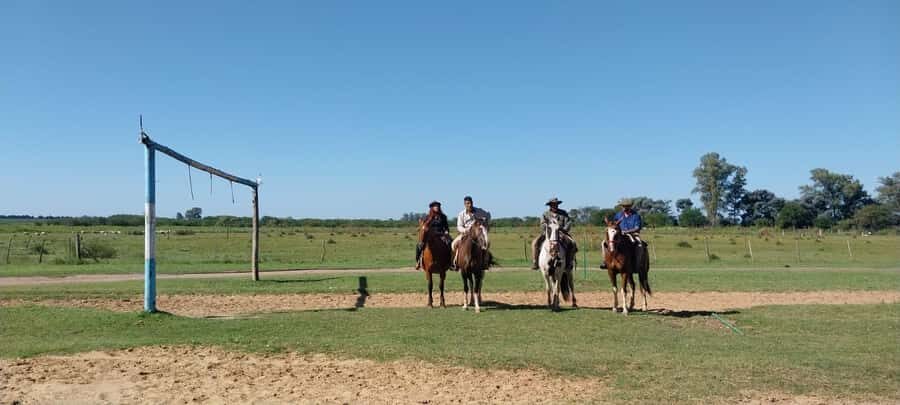 From Buenos Aires: Estancia Don Silvano Tour with Lunch. - Creole Skills and Folkloric Dances: A Gaucho Performance You Can Watch