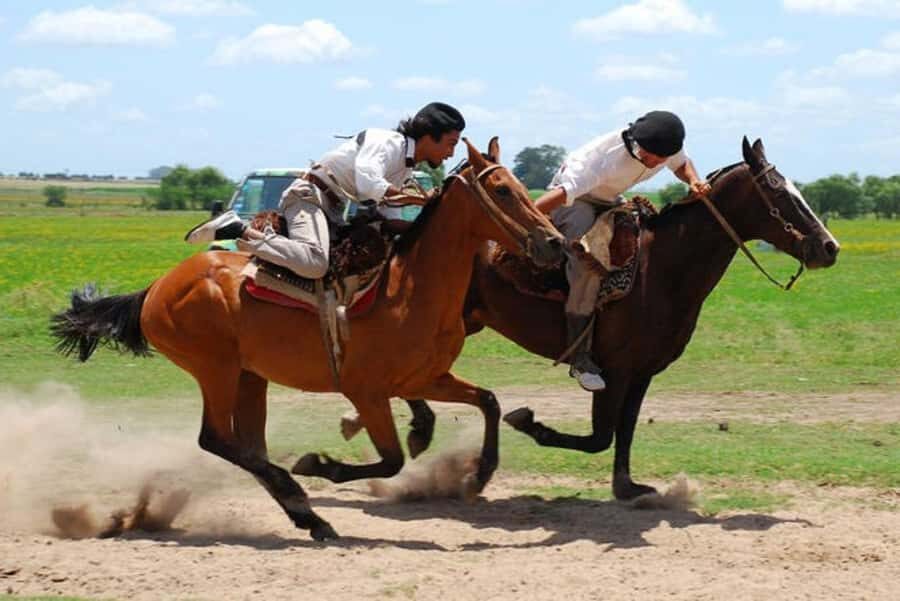 From Buenos Aires: Estancia Don Silvano Tour with Lunch. - Getting There: Pickup Zones, the 105-Minute Van Ride, and the Return to Obelisco
