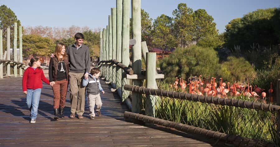 From Buenos Aires: Full-Day Temaiken Eco Park - Getting there from Buenos Aires without wasting your day