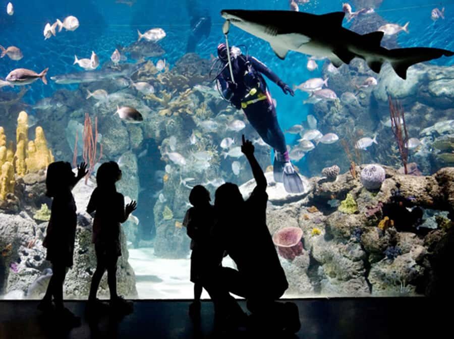 From Buenos Aires: Full-Day Temaiken Eco Park - First look at Temaikèn: a biopark built around living systems