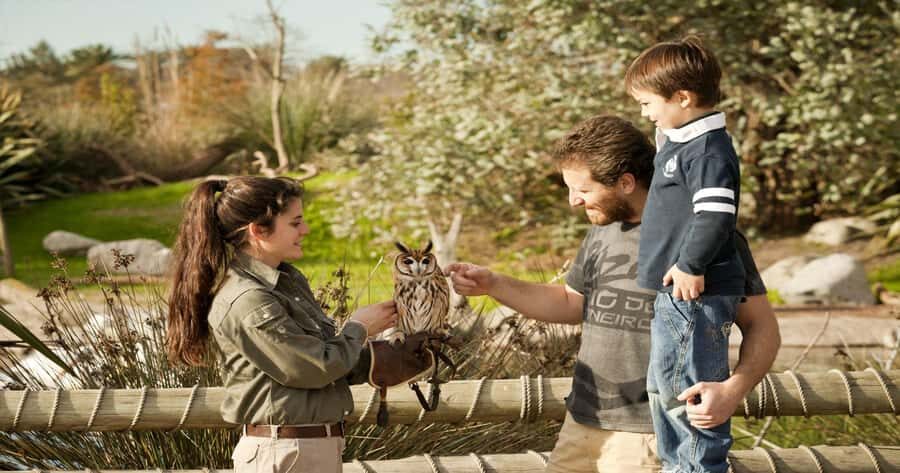 From Buenos Aires: Full-Day Temaiken Eco Park - Your six-hour park session: how to use the time well