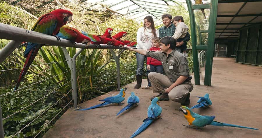 From Buenos Aires: Full-Day Temaiken Eco Park - Who should book this day trip?