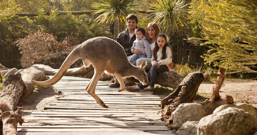 From Buenos Aires: Full-Day Temaiken Eco Park - The value of your ticket: admission plus real park time