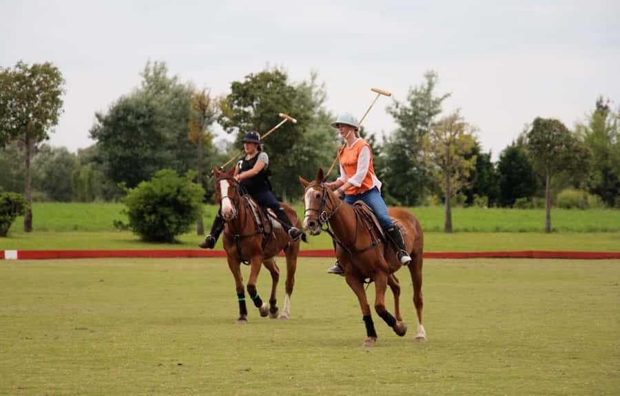 From Buenos Aires: Polo Match, Lesson, and BBQ Day-Trip - Key things that make this day trip work