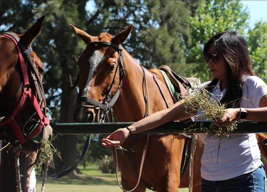 From Buenos Aires: Polo Match, Lesson, and BBQ Day-Trip - Arrival ritual: empanadas and premium wine before the match