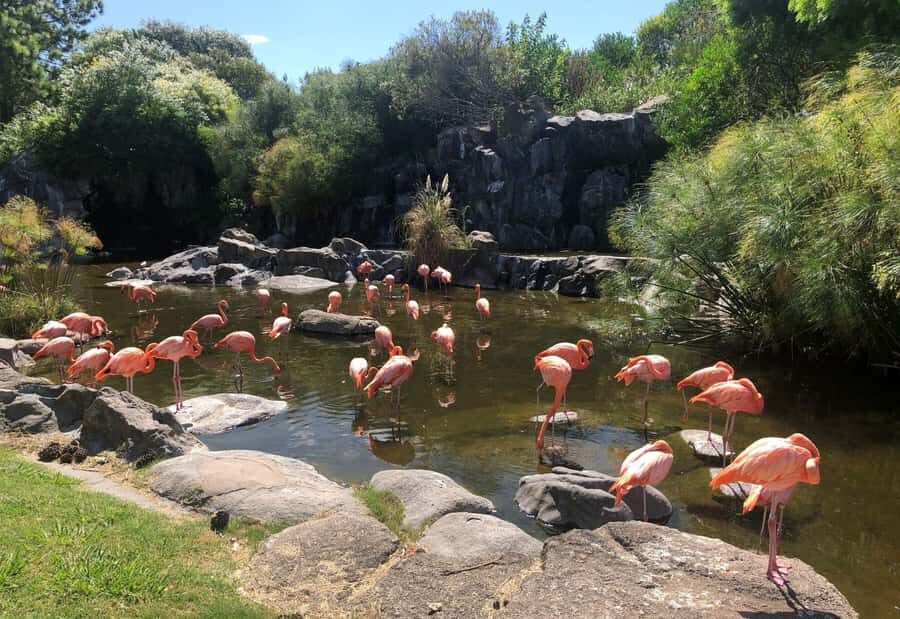 From Buenos Aires: Temaiken Zoo Tour with Ticket Included - Life in the Water: Aquarium Stops With Argentina’s Sea, Tidal Pools, and More