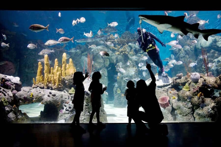 From Buenos Aires: Temaiken Zoo Tour with Ticket Included - Price and Value: Is $135 Worth It?