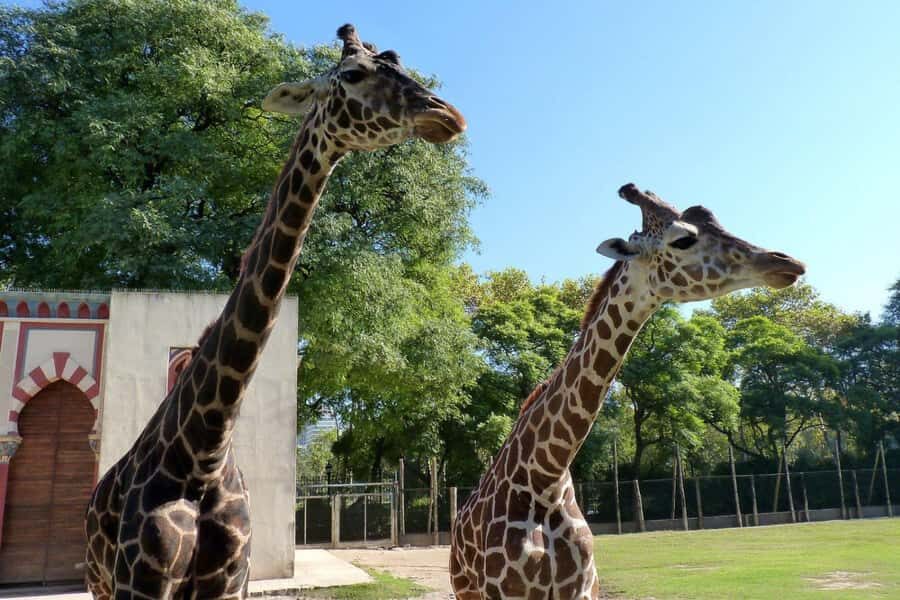 From Buenos Aires: Temaiken Zoo Tour with Ticket Included - What You Get: Transfers, Ticket, and a Live Guide
