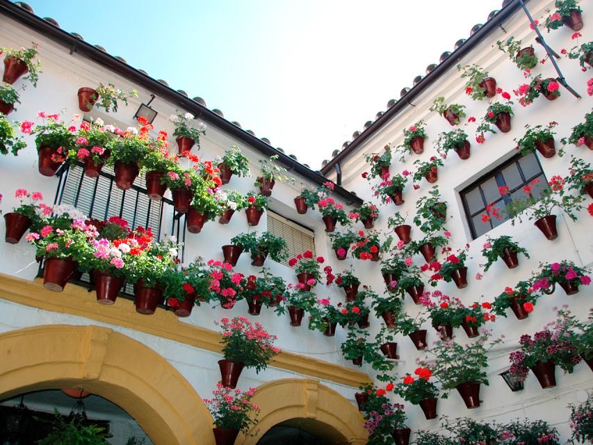 From Costa del Sol: Day Trip to Cordoba Free Time - Key things I’d prioritize before you go