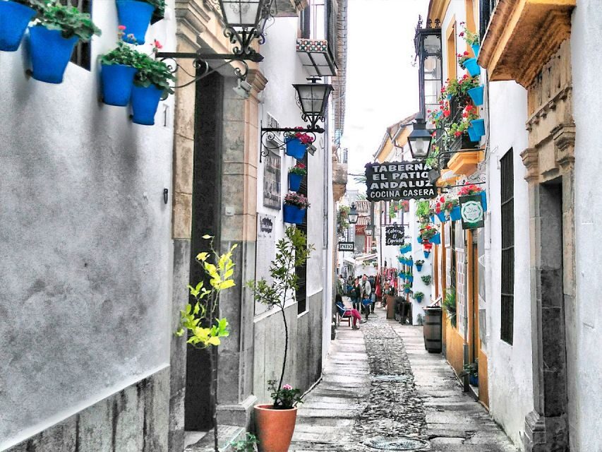 From Costa del Sol: Day Trip to Cordoba Free Time - Why Córdoba Works So Well on a Day Trip