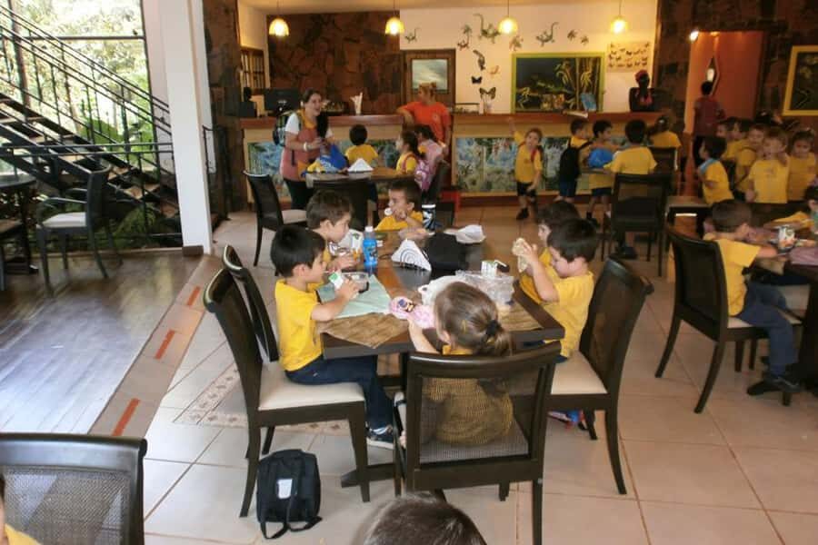 From Iguazú: Explore natural diversity at the Biocenter - Butterfly house: free flight, real color, and a quieter kind of excitement