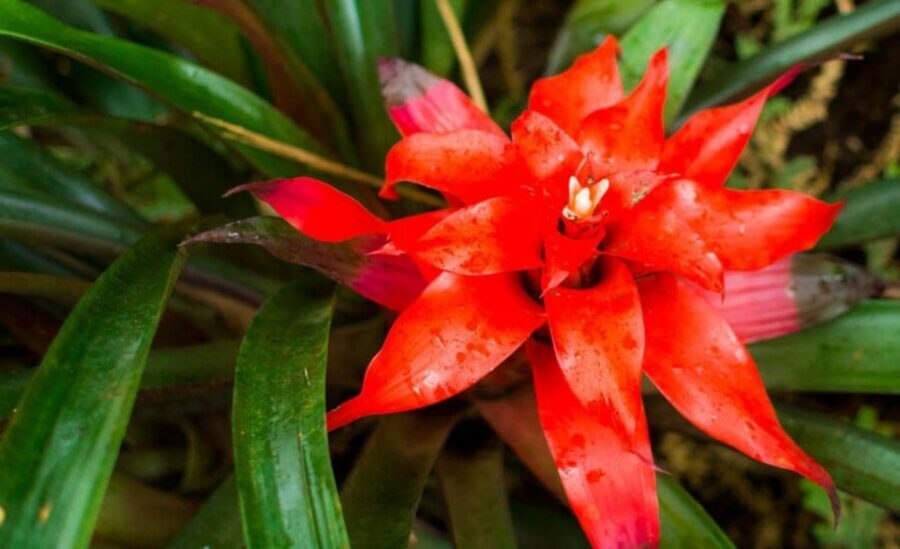 From Iguazú: Explore natural diversity at the Biocenter - Price and value: what $33 gets you in the real world