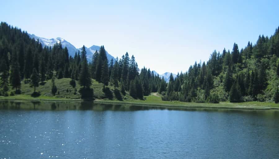 From Jujuy: Yala and Termas de Reyes Half-Day Tour - Why this half-day pairing works: Yala lagoons to hot springs