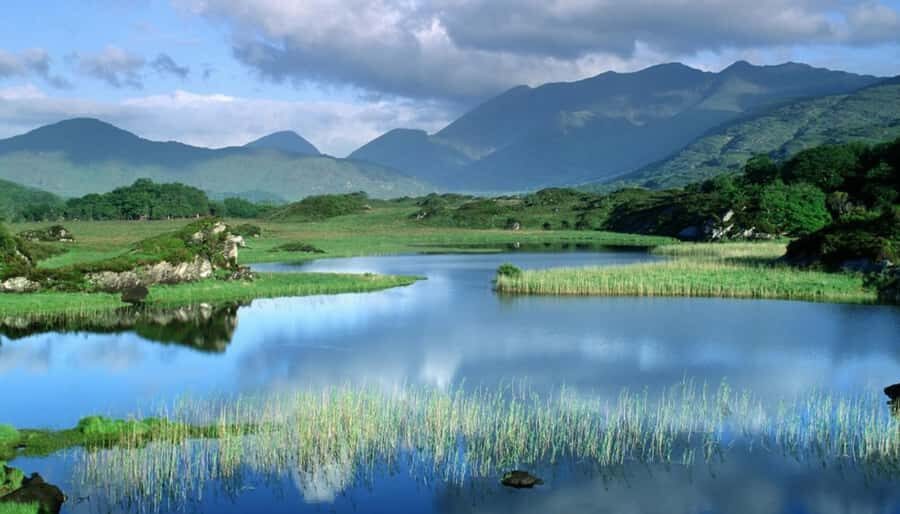 From Jujuy: Yala and Termas de Reyes Half-Day Tour - Yala’s lagoons at 2,300 meters: El Comedero, Desaguadero, Rodeo